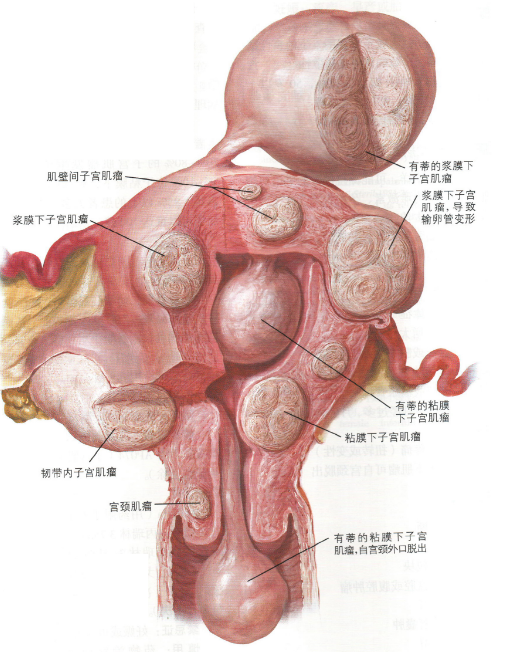 第345页
