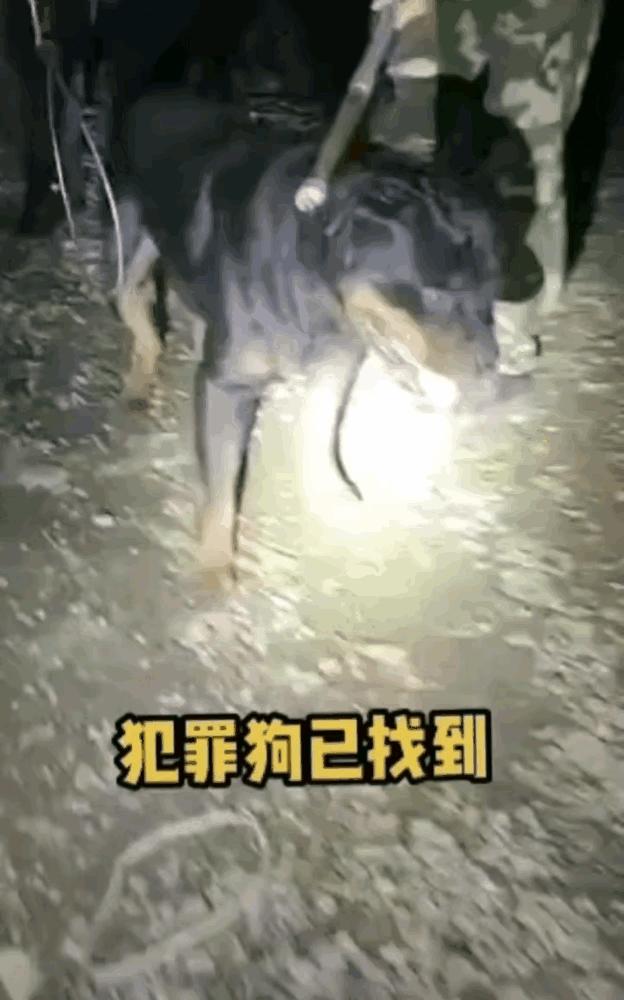 第193页